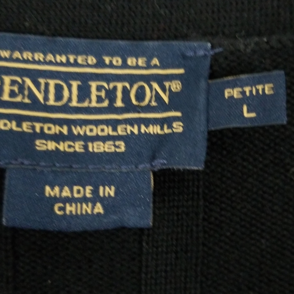 Pendleton Merino Wool Color Block Sweater Lp - image 5